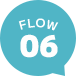 FLOW06